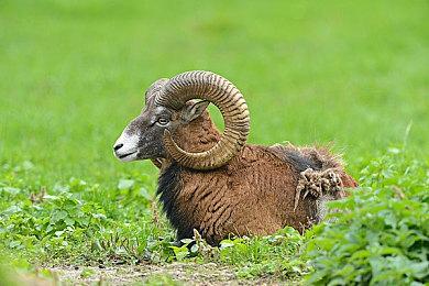 被取消游戏《星球大战：1313》概念图和演示视频泄露