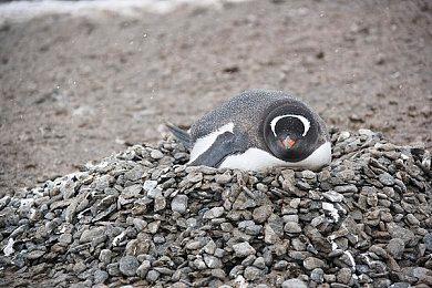 《星露谷物语2》有望开发？制作人松口谈续作可能性