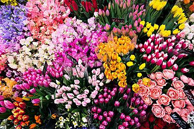 《暗黑破坏神4》10月8日更新上线 游侠大幅度加强